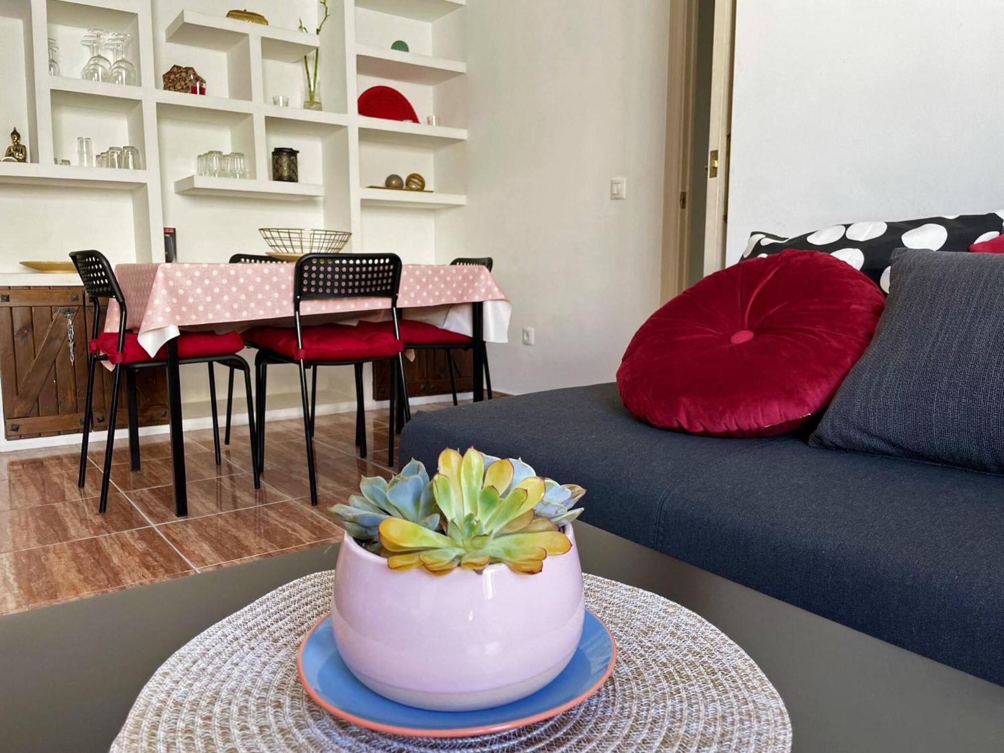 Apartamento La Paquera - Ole Solutions Херес-де-ла-Фронтера Екстер'єр фото